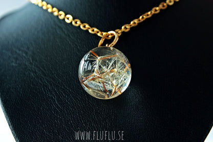 Frön från höstfibbla i pärla – detaljbild 3