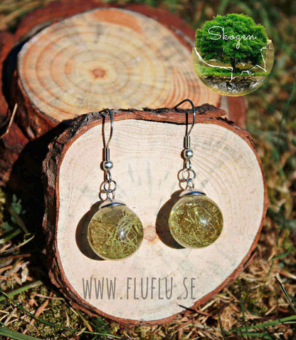 Skägglavpärlor örhängen – Silver