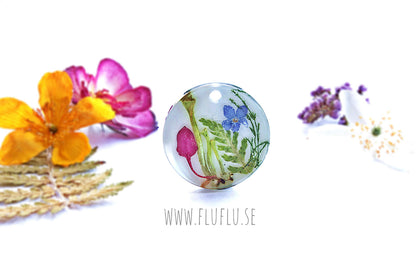 Herbarium, hänge med vit bakgrund – detaljbild 13