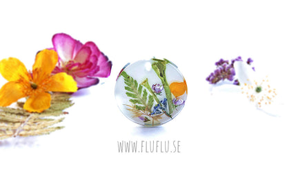 Herbarium, hänge med vit bakgrund – detaljbild 12
