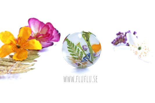 Herbarium, hänge med vit bakgrund – detaljbild 12